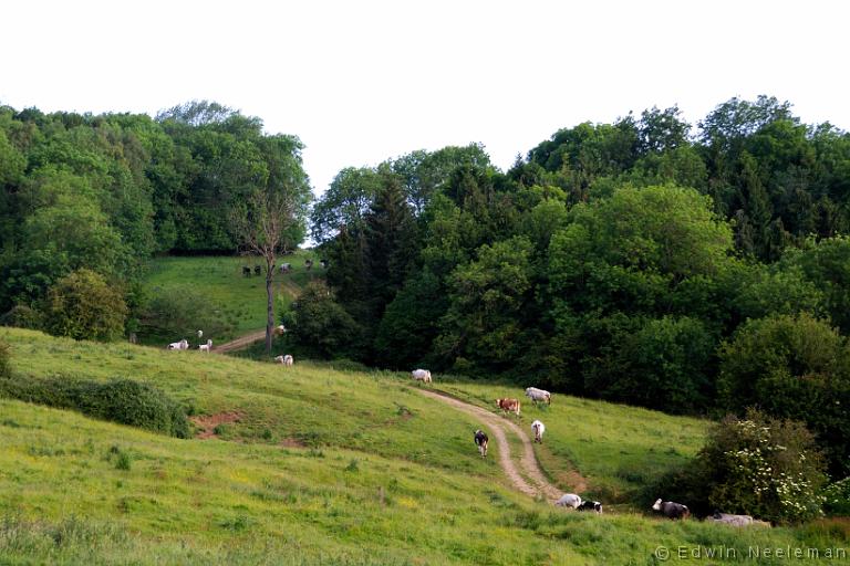 ENE-20110608-0352.jpg - Bredon Hill